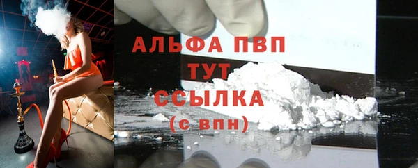 стафф Карпинск