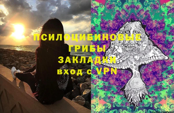 стафф Карпинск