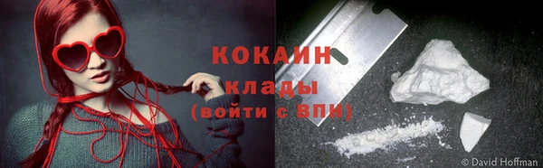 шишки Касимов