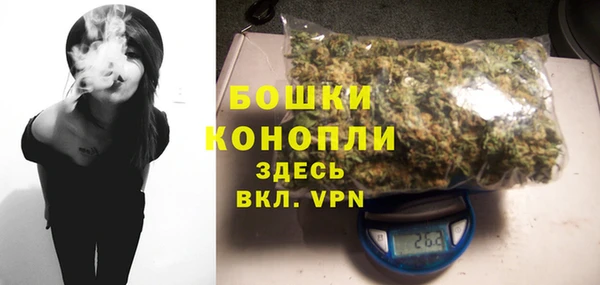 стафф Карпинск