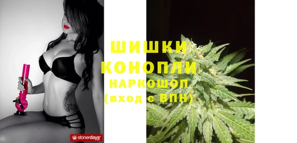 шишки Касимов