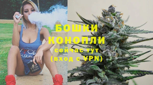стафф Карпинск