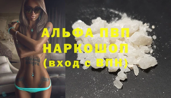 стафф Карпинск