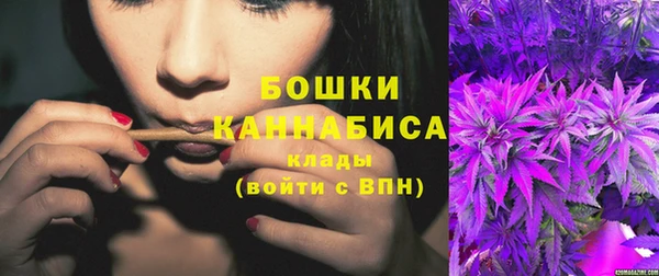 шишки Касимов