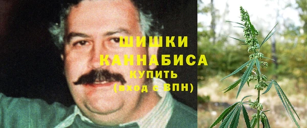 стафф Карпинск