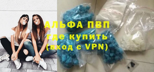 стафф Карпинск