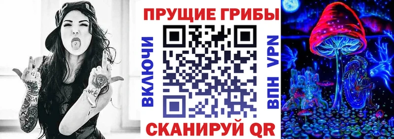 Галлюциногенные грибы Psilocybe  Купить где  Дрезна 
