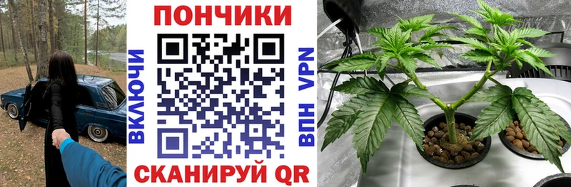 Купить  Дрезна  Бошки марихуана Ganja 